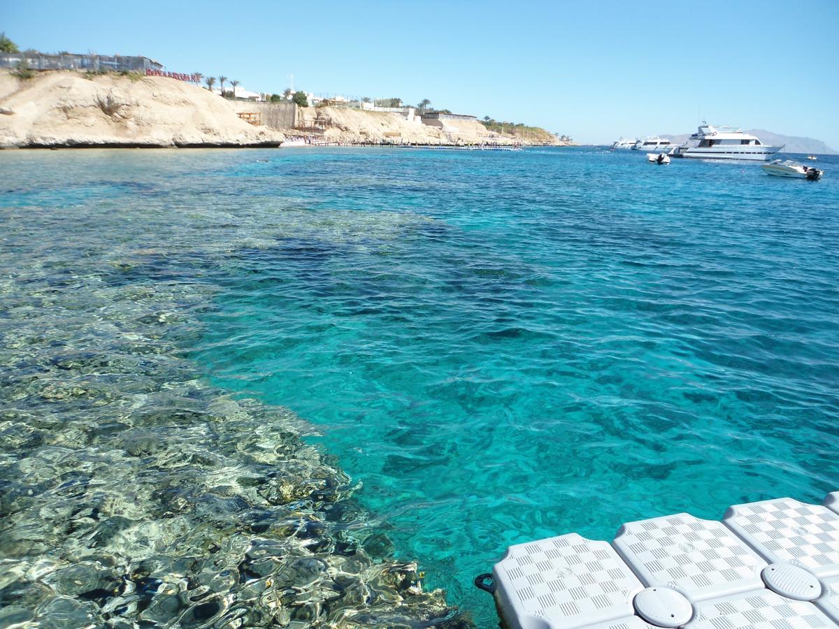 Sharks Bay Oasis Apartment Šarm aš-Šajch Exteriér fotografie