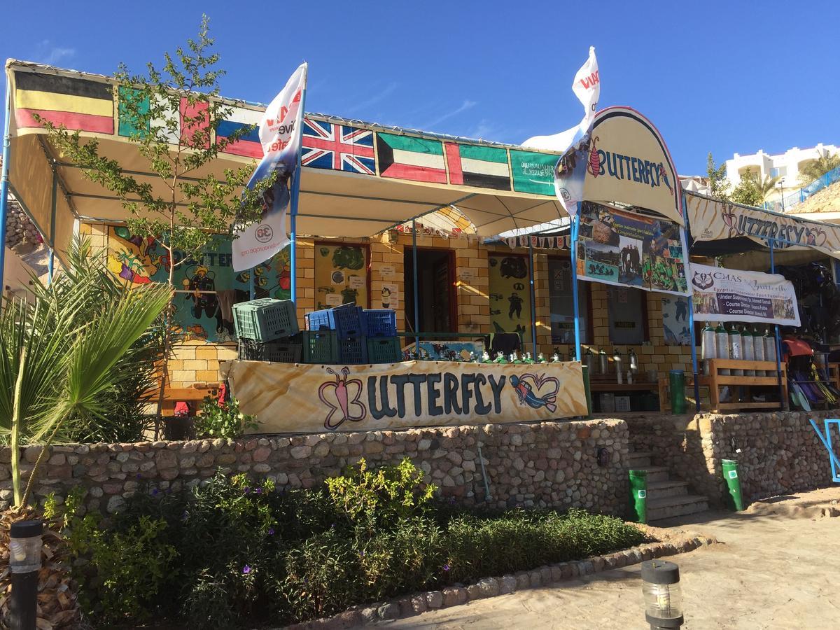 Sharks Bay Oasis Apartment Šarm aš-Šajch Exteriér fotografie