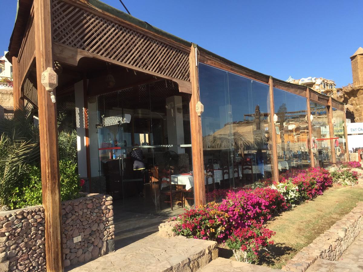 Sharks Bay Oasis Apartment Šarm aš-Šajch Exteriér fotografie