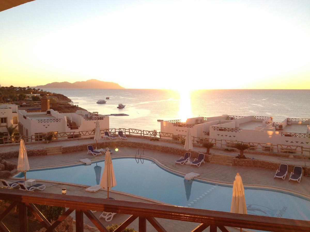 Sharks Bay Oasis Apartment Šarm aš-Šajch Exteriér fotografie