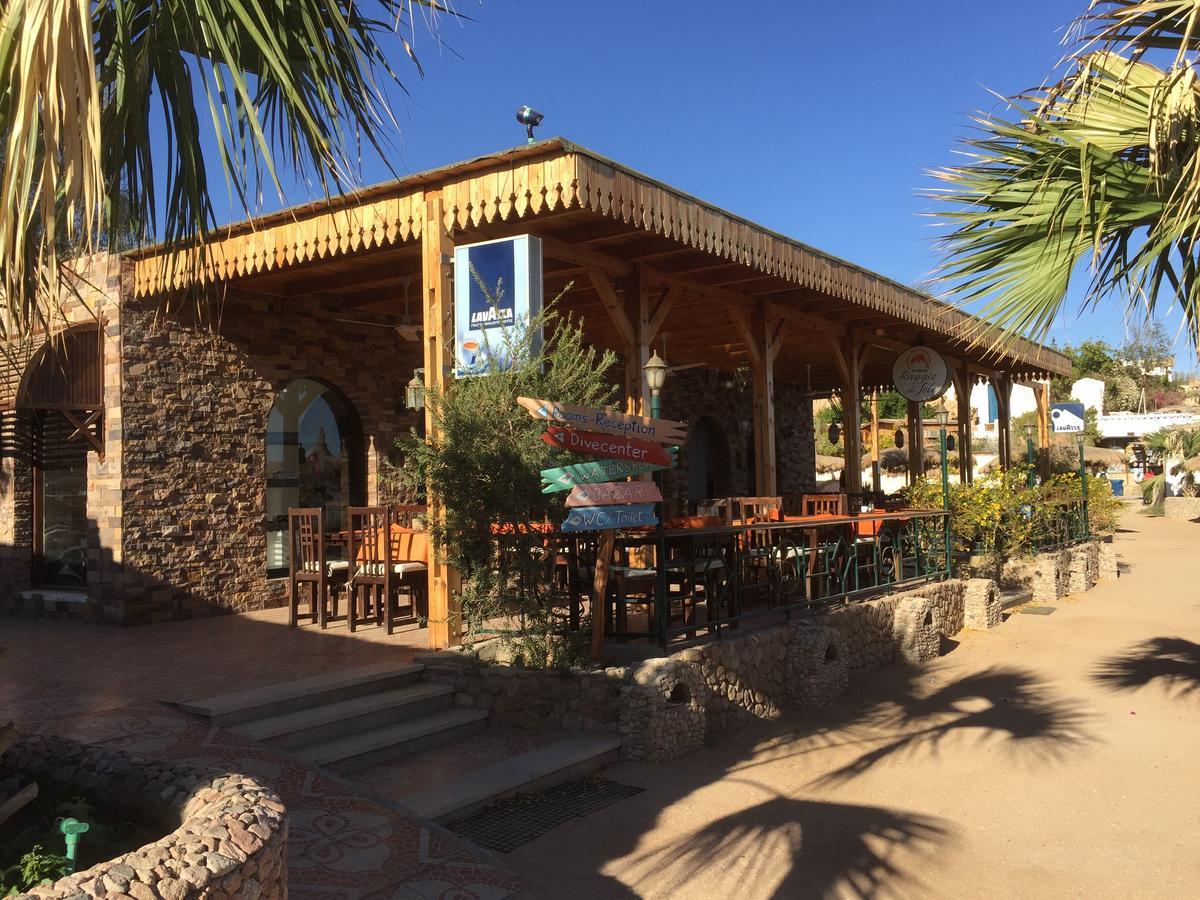 Sharks Bay Oasis Apartment Šarm aš-Šajch Exteriér fotografie